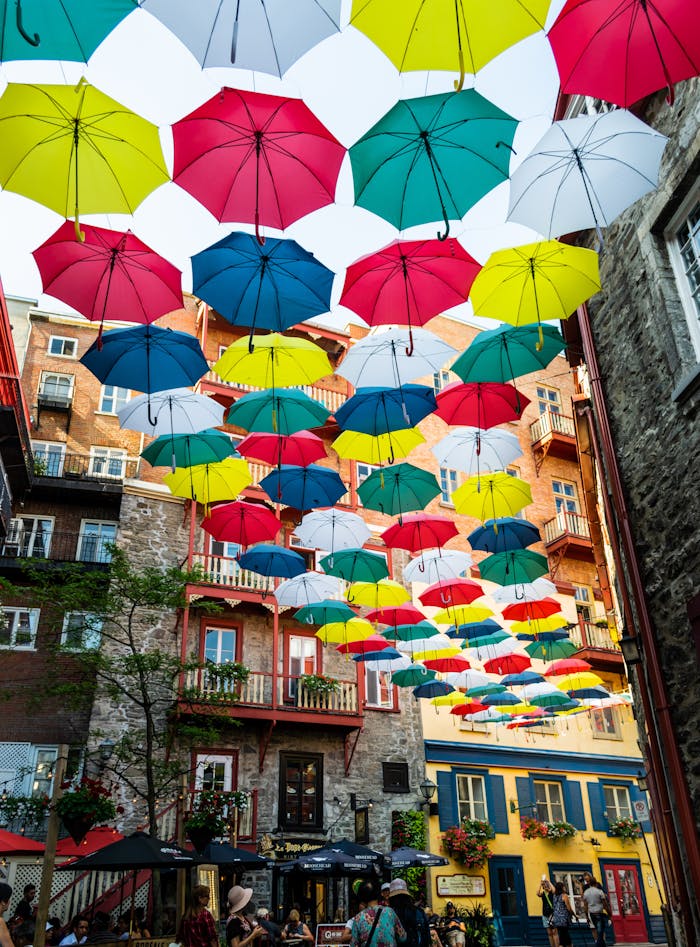 Assorted-color Opened Umbrella Hangs On Display